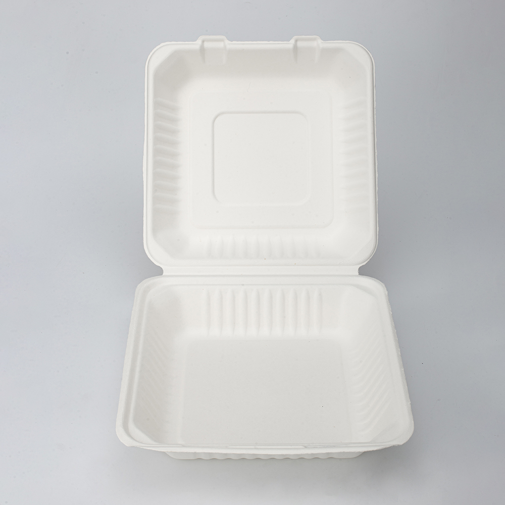 Geotegrity Biodegradable Sugarcane Bagasse Custom Lunch Takeaway Food