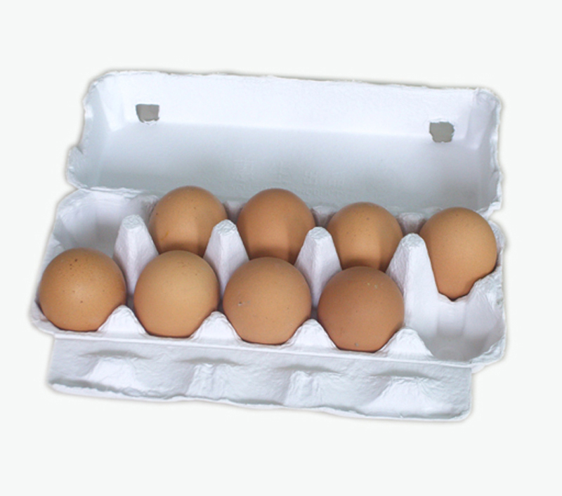 Besure Bst Ec High Speed Pulp Molding Fiber Egg Box Production