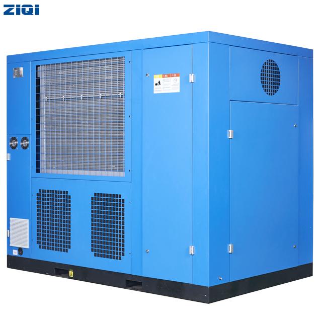 Two Stage Screw Compressor ZIQI Compressor Shanghai Co Ltd