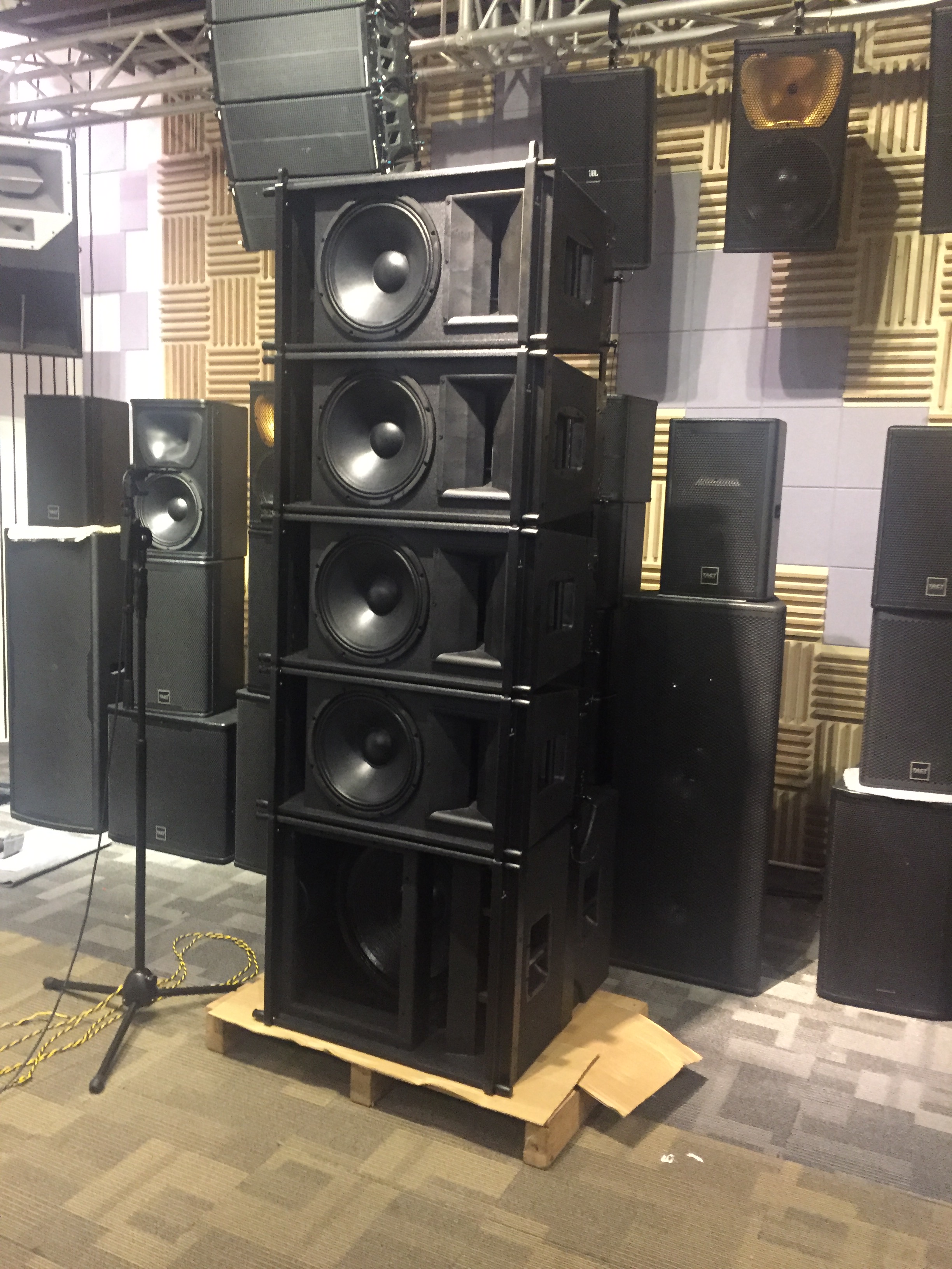 Customized TACT Professional Single 12 Inch Line Array Speaker