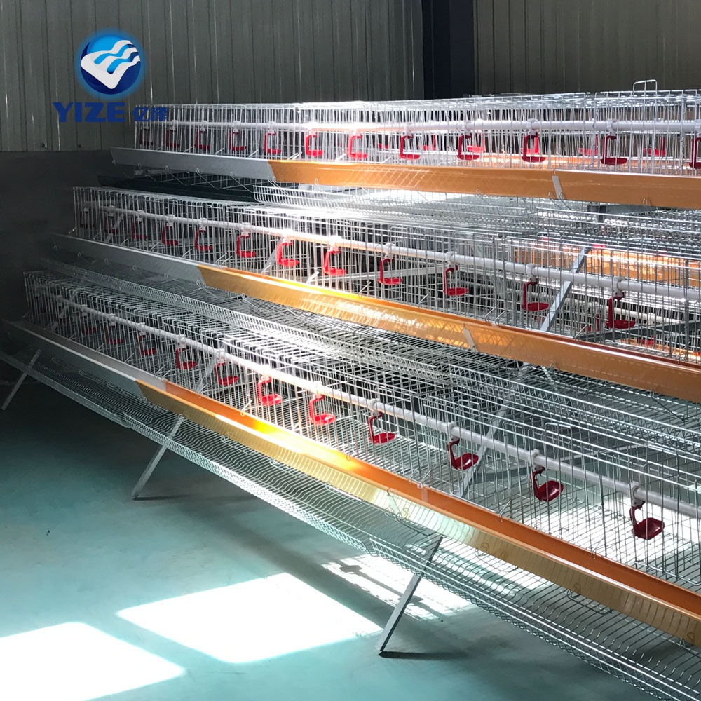 Layer Chicken Layout Design RIGHT - China Manufacturer Poultry Farm Design Layout Of Layer Chicken ...