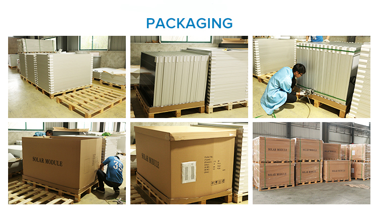 Factory Sell 280w Poly Solar Panel Applied Off Grid Solar Power System China CE 3 Years,3 Years 0 to +5W 5400 Pascals 30V 18.5kg
