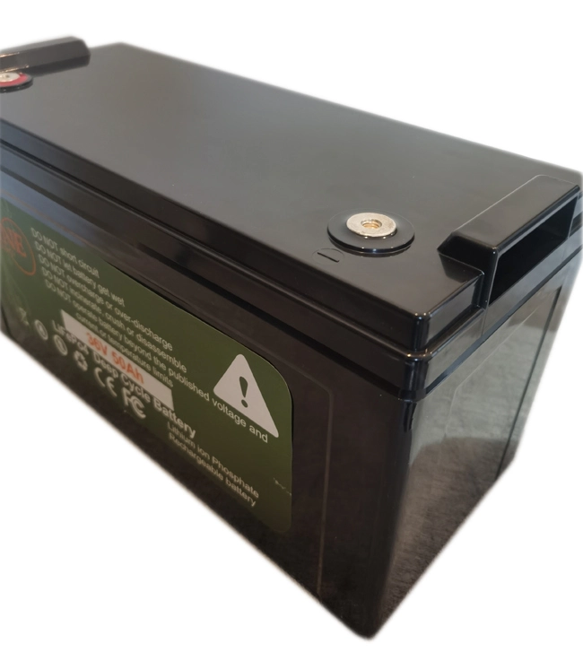 Pine - Good Quality New Arrivals Multi-functional Lifepo4 Rv Deep Cycle Rechargeable Lithium Phoefate Ion Batteries Ungrouped price