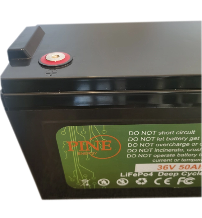 Pine - Good Quality New Arrivals Multi-functional Lifepo4 Rv Deep Cycle Rechargeable Lithium Phoefate Ion Batteries Ungrouped factory