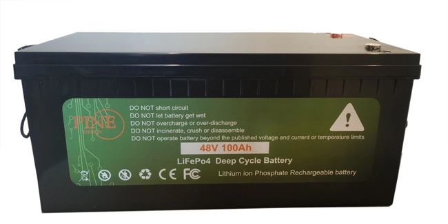 High Quality 48v 100ah Factory Sale Various Lifepo4 Rechargeable Lithium Ion Battery For Solar | Pine manufacturer