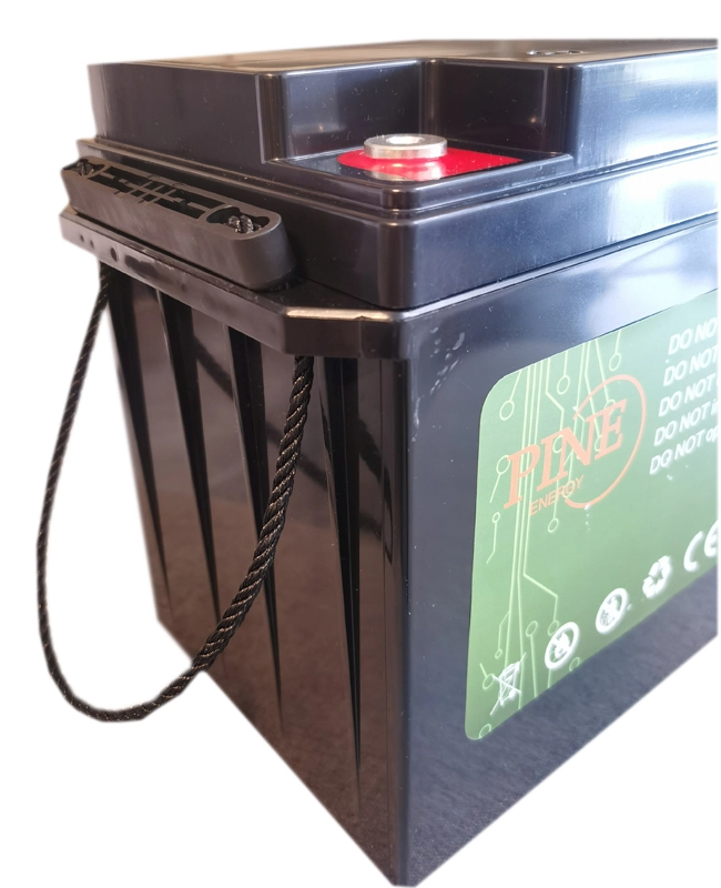 Pine - 12v 60ah Factory Manufacture Various Solar Energy Lifepo4 Battery Cheap Lithium Ion Deep Cycle Storage Batteries Ungrouped  in  Shenzhen