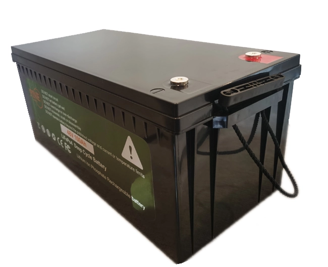 High Quality 48v 100ah Factory Sale Various Lifepo4 Rechargeable Lithium Ion Battery For Solar | Pine