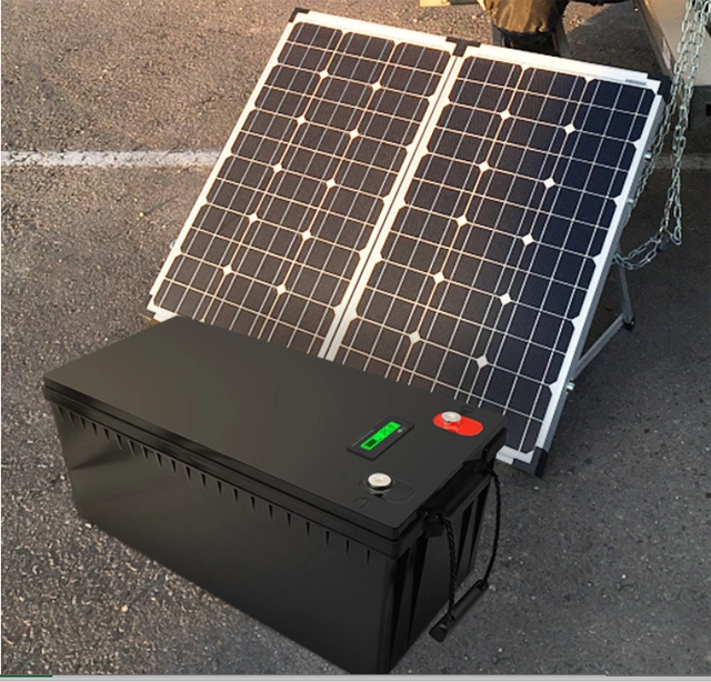 Rechargeable Long Life  Deep Cycle Bms Lifepo4 Lithium Ion Golf Cart Battery | Pine company