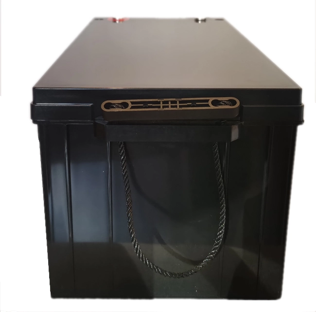 High Quality 48v 100ah Factory Sale Various Lifepo4 Rechargeable Lithium Ion Battery For Solar | Pine factory