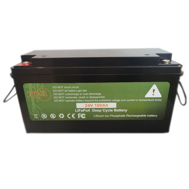 Best Seller Rechargeable Lifepo4 Battery  Lithium Iron Phosphate Batteries For Camping | Pine