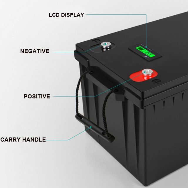 Rechargeable Long Life  Deep Cycle Bms Lifepo4 Lithium Ion Golf Cart Battery | Pine