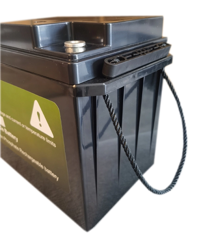 Pine - Solar System Deep Cycle Lifepo4 24v100ah Lithium Battery Widely Used On Fishing Boat And Golf Buggy Lithium Ion Battery Pack Ungrouped factory