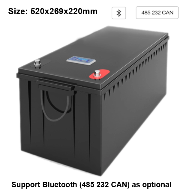 Factory Direct Sale Customize Cheap Deep Cycle Lifepo4  | Pine manufacturer