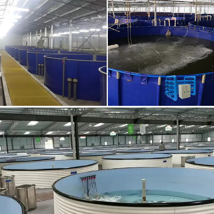 DECO - Ras Technology Aquaculture Ras Systems Recirculating