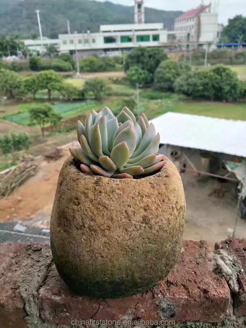 China New Design River Stone Indoor Decoration Planter Pot Outdoor Garden Mini Flower Pot