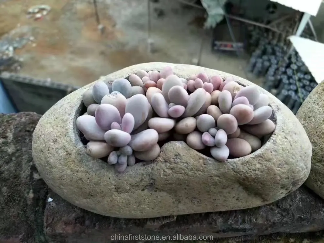 China New Design River Stone Indoor Decoration Planter Pot Outdoor Garden Mini Flower Pot