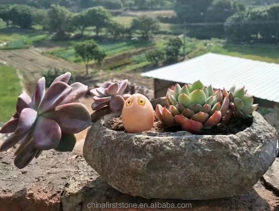 China New Design River Stone Indoor Decoration Planter Pot Outdoor Garden Mini Flower Pot