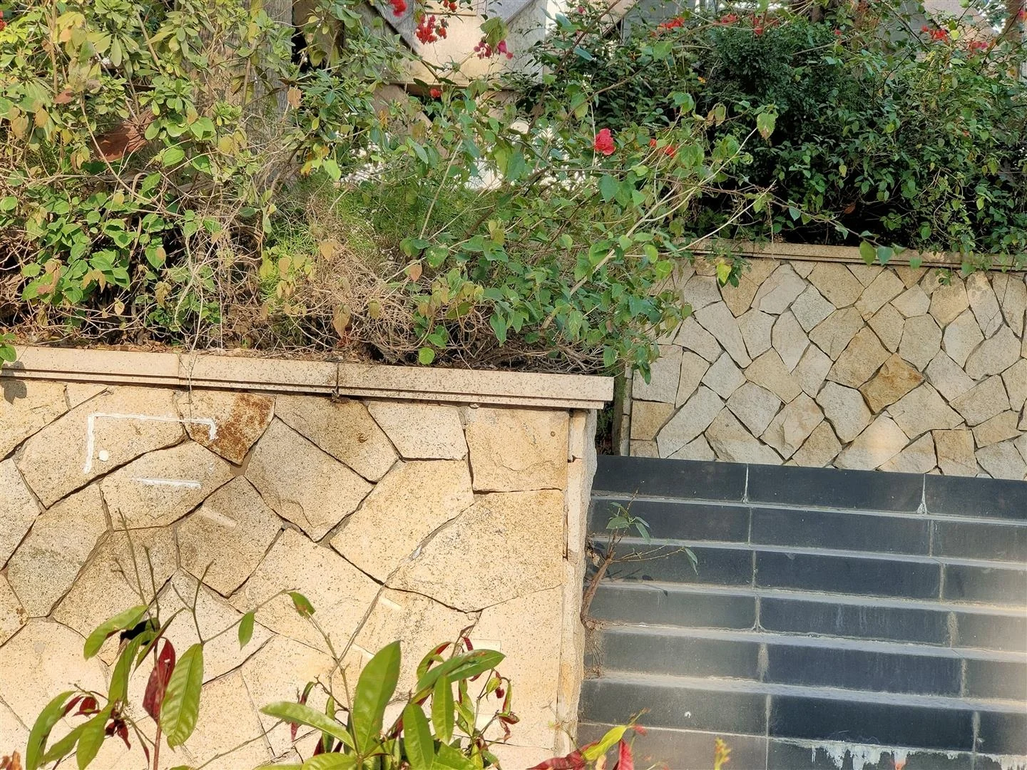Padang Dark G654 Granite Garden Crazy Random Paving Stone Moulds Tiles