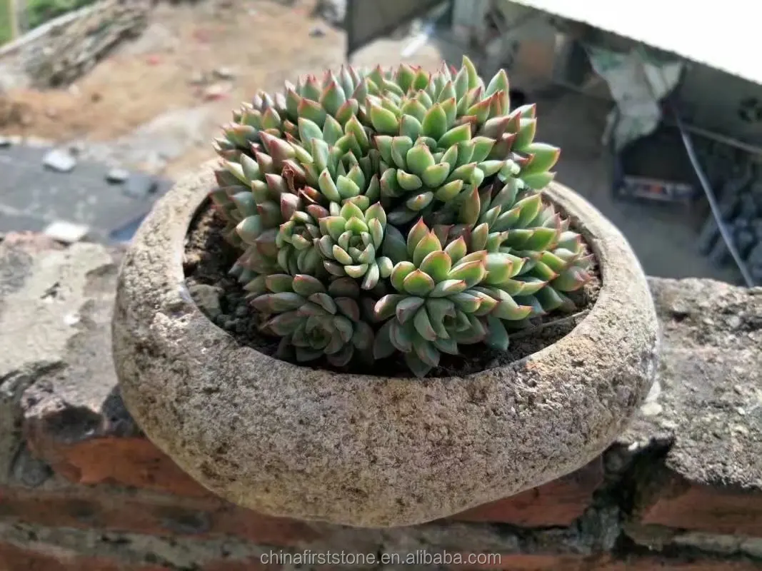 China New Design River Stone Indoor Decoration Planter Pot Outdoor Garden Mini Flower Pot