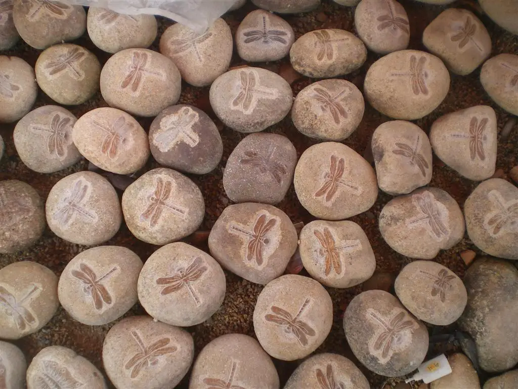 Natural River Pebble Carving Garden Decoration River Stone Butterfly Sculpture