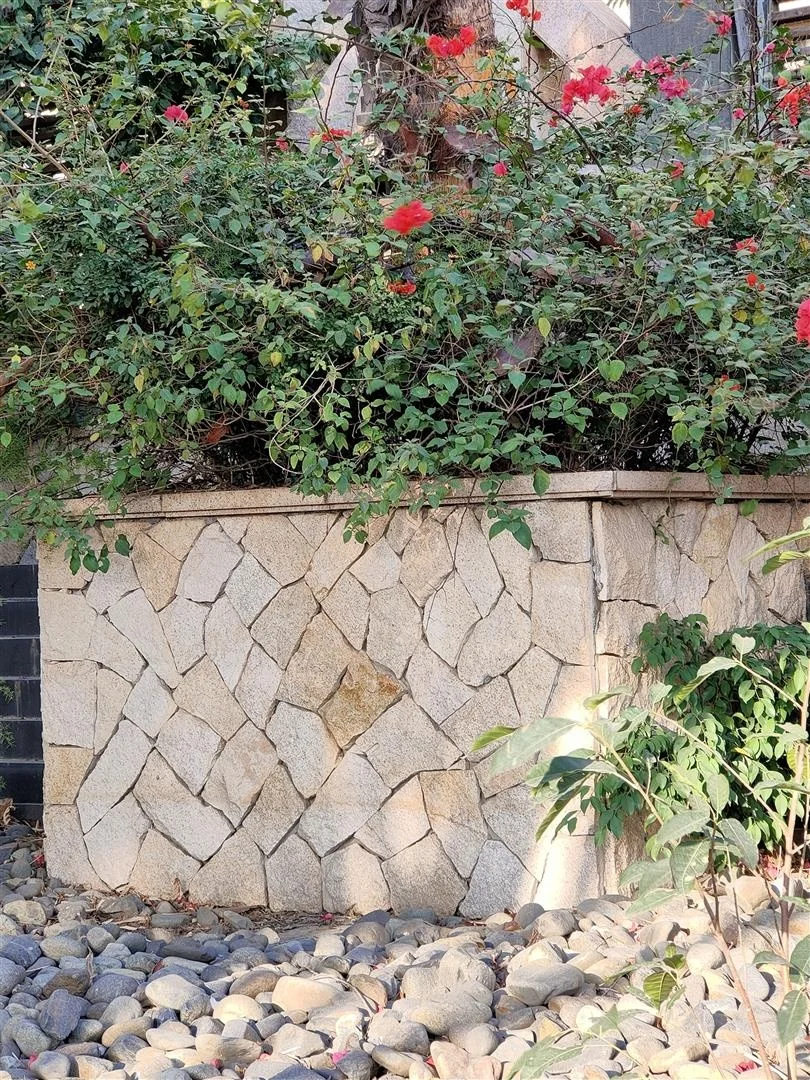 Padang Dark G654 Granite Garden Crazy Random Paving Stone Moulds Tiles