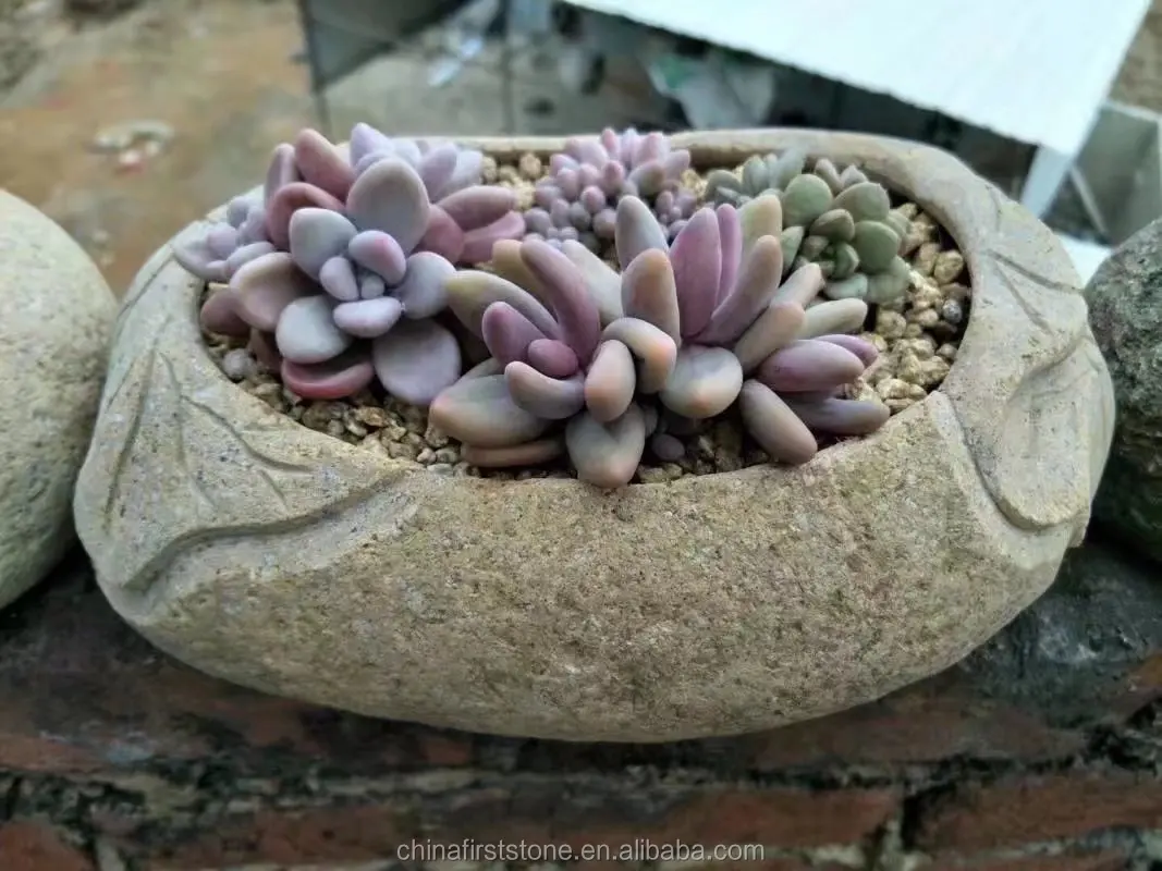 China New Design River Stone Indoor Decoration Planter Pot Outdoor Garden Mini Flower Pot