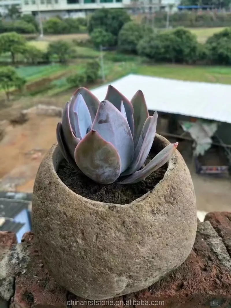 China New Design River Stone Indoor Decoration Planter Pot Outdoor Garden Mini Flower Pot
