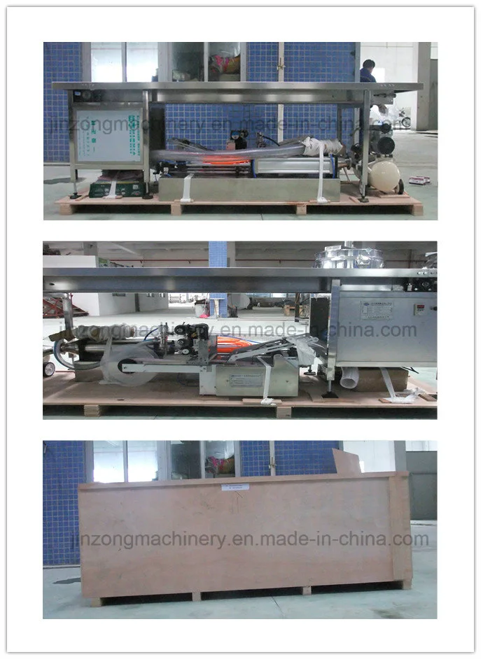 Stainless Steel Nylon Belt Conveyor Table