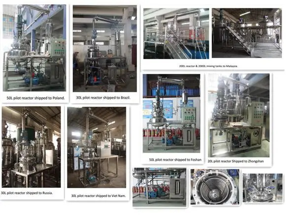 Customized Pilot Stainless Steel Reactor