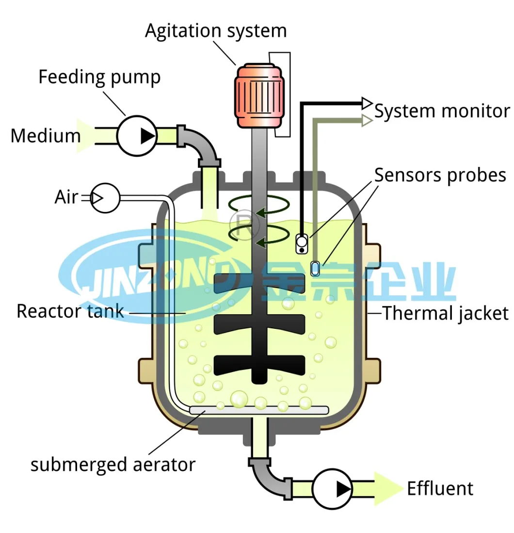 Fermentor Bioreactor for Large Scale Fermentation Production