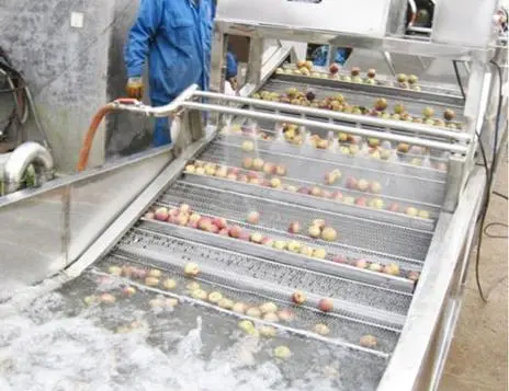 Fruit Vegetable Bubble Cleaning Washing Machine Washer China Manufacturer