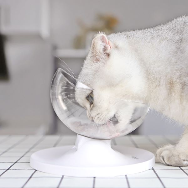 China Custom Plastic Cat Bowls Suppliers, Manufacturers Factory