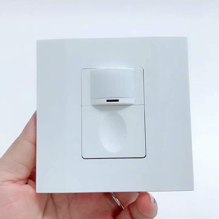 Rayzeek Tech - 3 in 1 design RZ023 86 type 10A Occupancy Vacancy sensor On-Off sensor switch Motion Sensor products