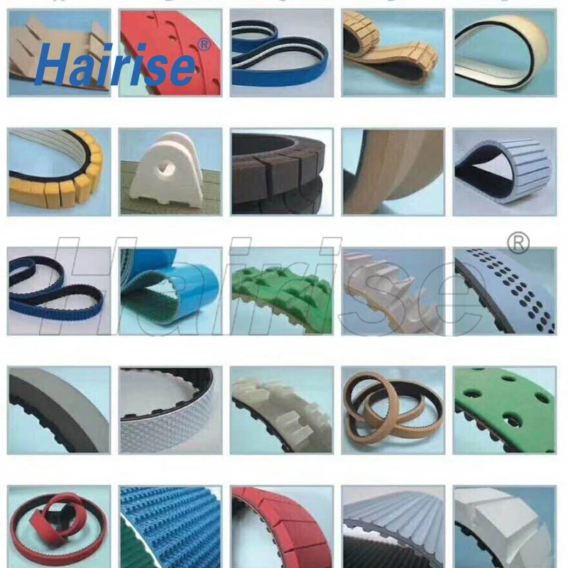 Hairise T10 Timing Belt PU Material Wtih FDA&amp; Gsg Certificate