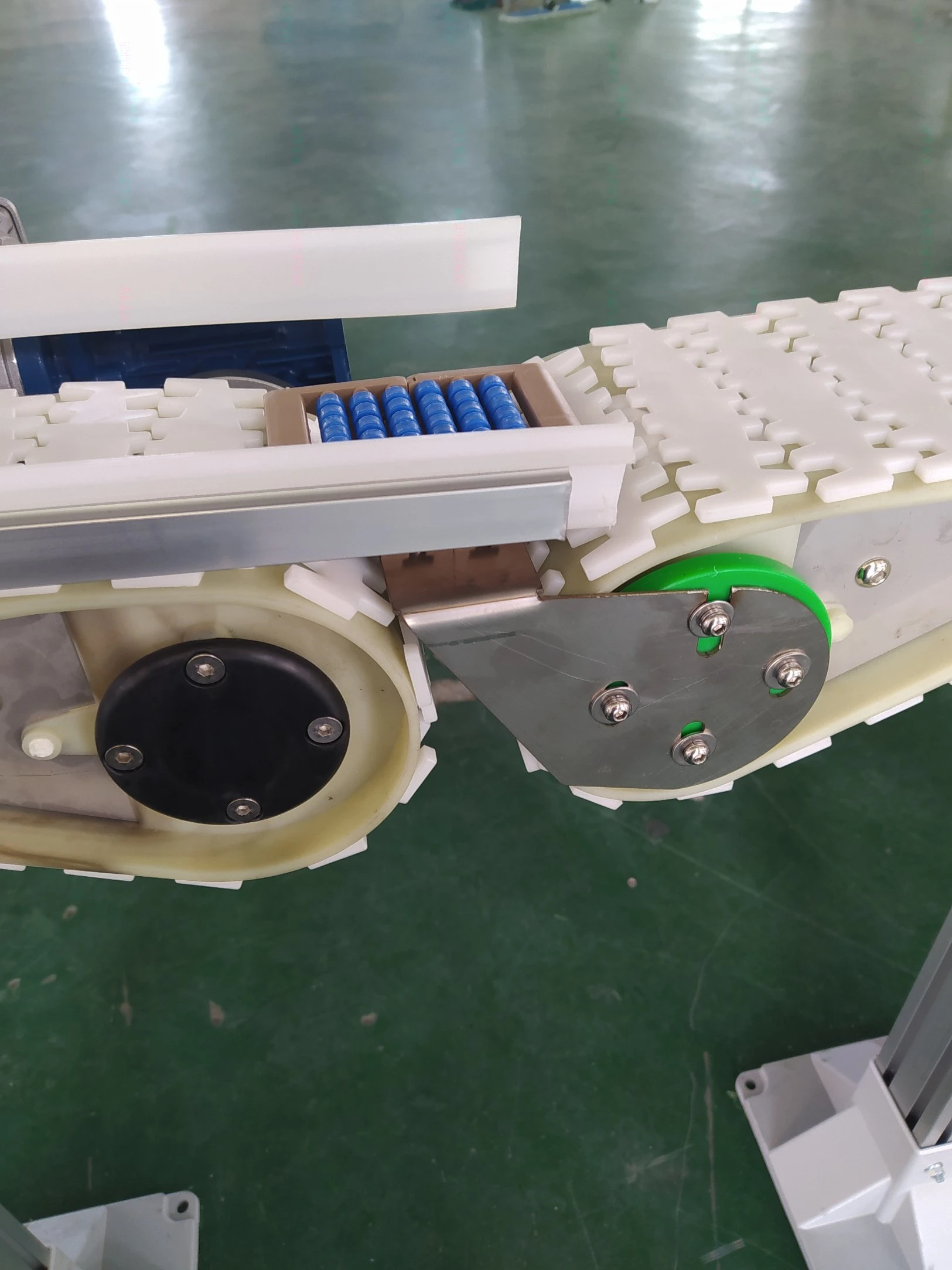 Hairise Flexible Chain Conveyor System with ISO, CE, FDA Certificate