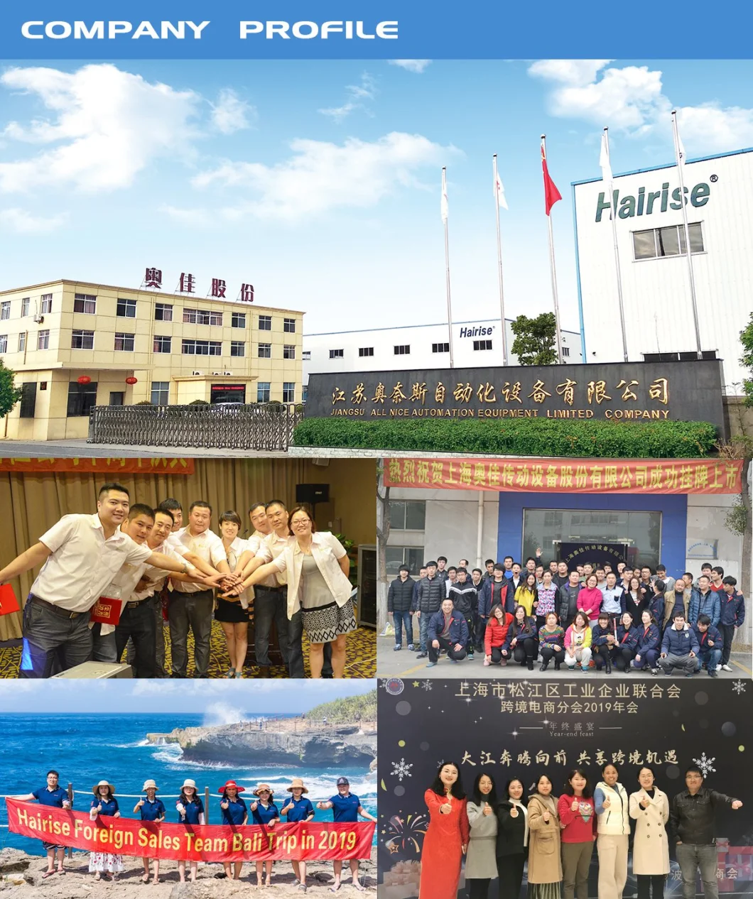 Hairise Transmission Roller Guide for Beverage Industry Wtih ISO&amp; CE &FDA Certificate