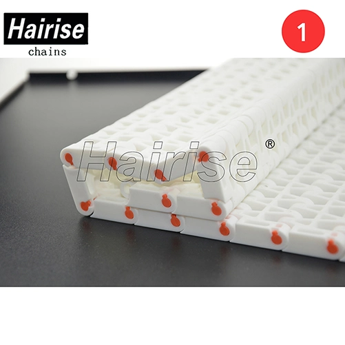 Hairise 2520 easy cleaning overhead conveyor systems plastic