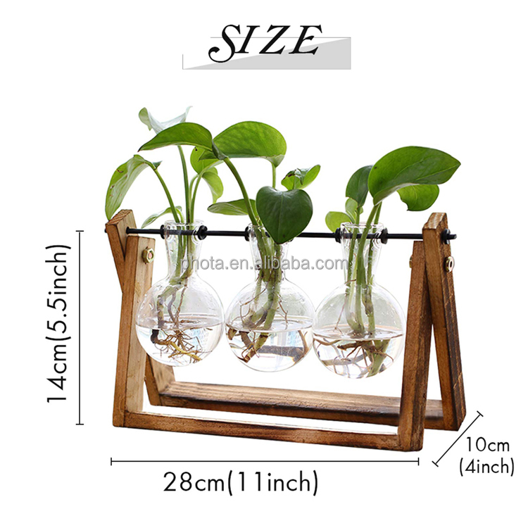 Plant Terrarium with Wooden Stand, Air Planter Bulb Glass Vase Metal Swivel Holder Retro Tabletop