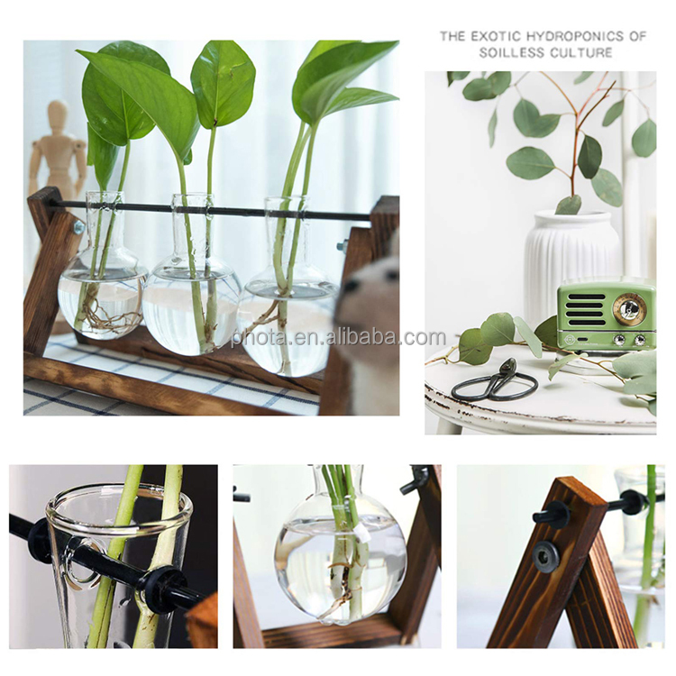 Plant Terrarium with Wooden Stand, Air Planter Bulb Glass Vase Metal Swivel Holder Retro Tabletop