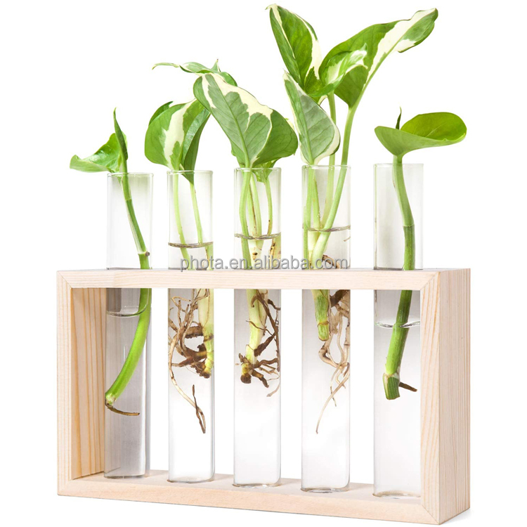 Wall Hanging Glass Planter Plant Terrarium Modern Flower Bud Vase in Wood Stand Rack Tabletop Terrarium for Propagating