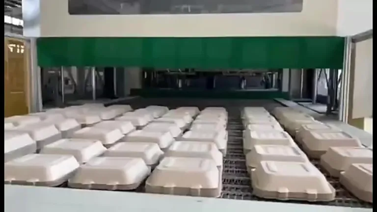 FarEast - Fibres végétales biodégradables Moulage de pâte à papier  Assiettes en papier Fabrication de machines Chaîne de production Chaîne de  production entièrement automatique