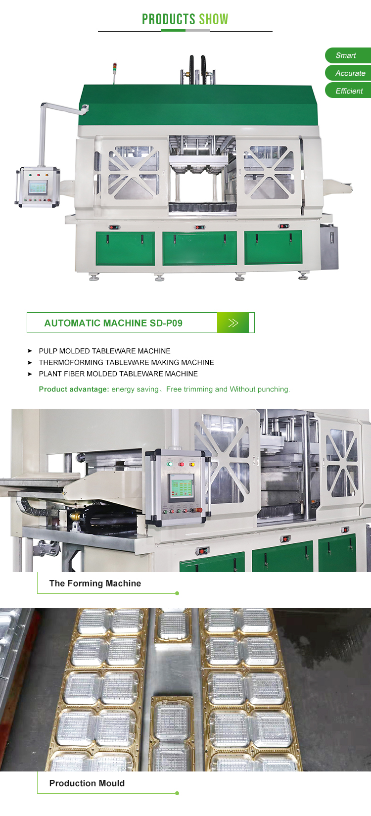 Full Automatic Biodegradable Disposable Paper Sugarcane Bagasse Pulp Molding Food Take Away Plate Tableware Making Machine