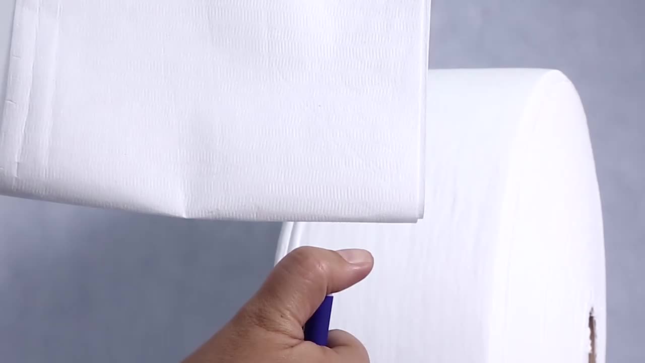 Rayson - PP Spunbonded Ez Ehundutako Fabric 60gsm (OEM) Altzariak / Sofa / Estalkia Altzariak materialaren ehuna For
