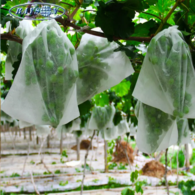 Couverture de protection des plantes en tissu non tissé PP