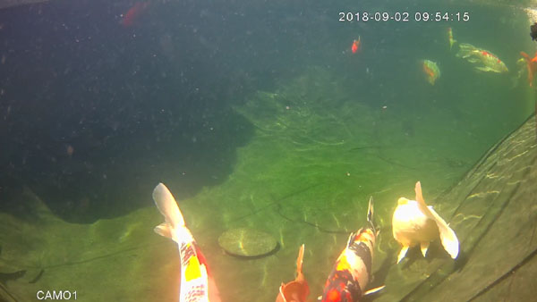 20180902215416 20180902215416