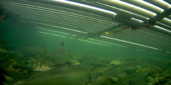 ACC Export - 2018-09-14 09 ACC Export - 2018-09-14 09