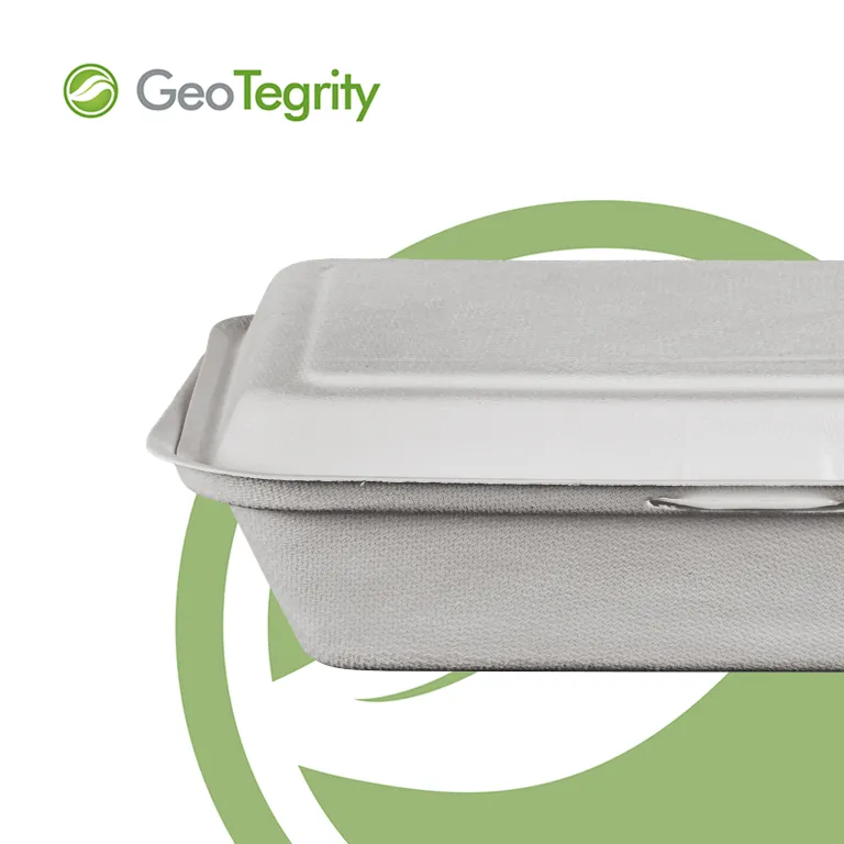 GeoTegrity - Moldeo de pulpa de bagazo de caña de azúcar biodegradable Envases  para comida rápida para