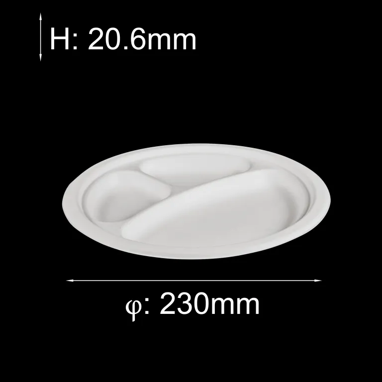 Bagasse plates and trays with PET lids - Directecogreen
