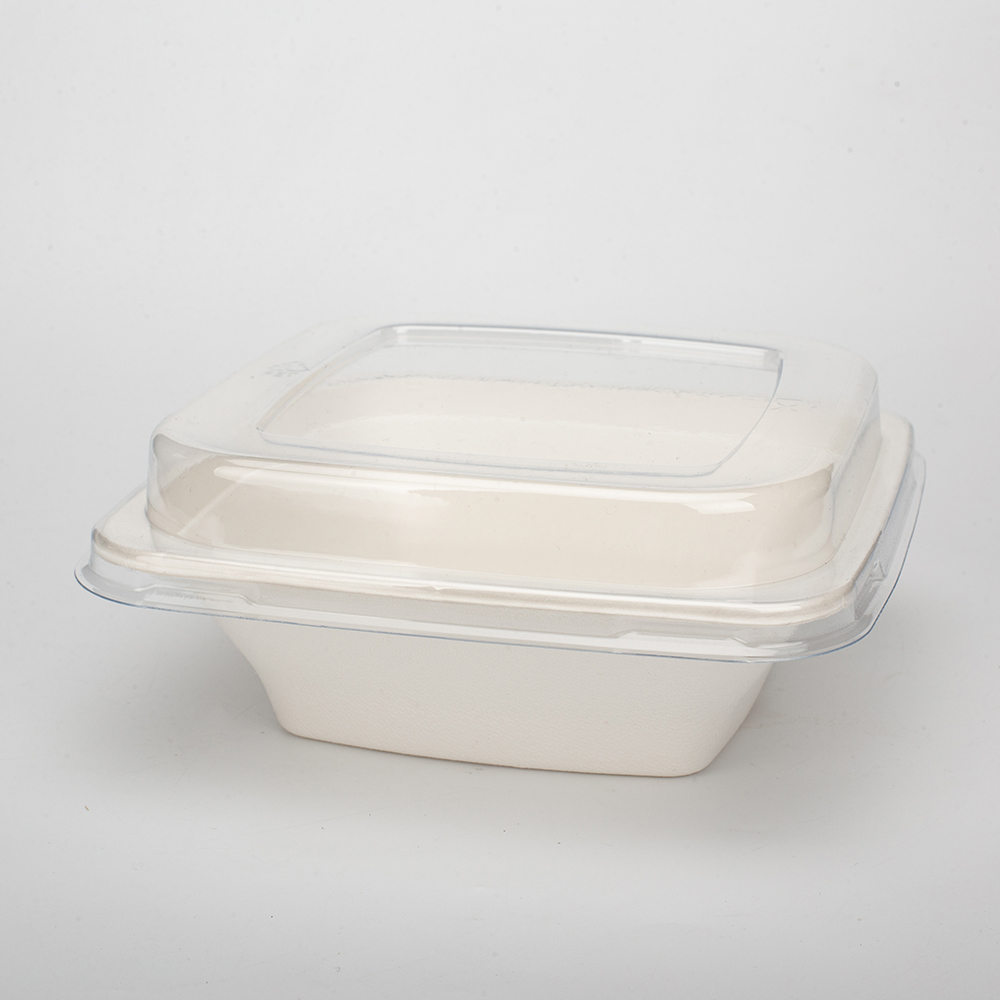 GeoTegrity - Biodegradable Sugarcane Bagasse Pulp Mould Disposable ...