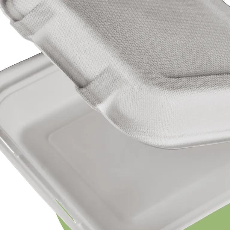 GeoTegrity - Moulage de pâte biodégradable Emballage alimentaire à emporter  Clamshell Canne à sucre Bagasse Boîtes d'emballage jetables pour le  déjeuner Boîte de bagasse